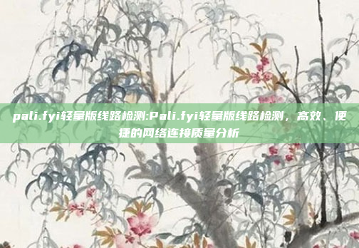 pali.fyi轻量版线路检测:Pali.fyi轻量版线路检测，高效、便捷的网络连接质量分析