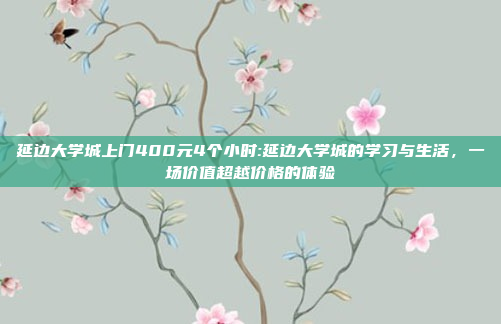 延边大学城上门400元4个小时:延边大学城的学习与生活，一场价值超越价格的体验