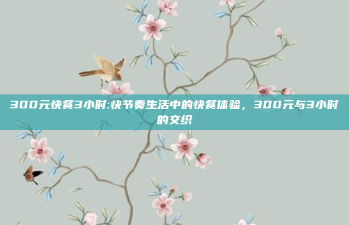 300元快餐3小时:快节奏生活中的快餐体验，300元与3小时的交织