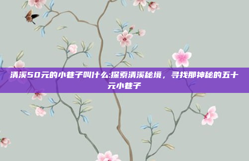 清溪50元的小巷子叫什么:探索清溪秘境，寻找那神秘的五十元小巷子