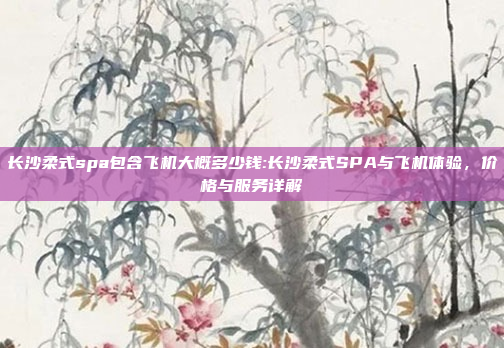 长沙柔式spa包含飞机大概多少钱:长沙柔式SPA与飞机体验，价格与服务详解