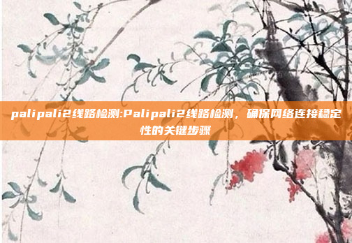 palipali2线路检测:Palipali2线路检测，确保网络连接稳定性的关键步骤