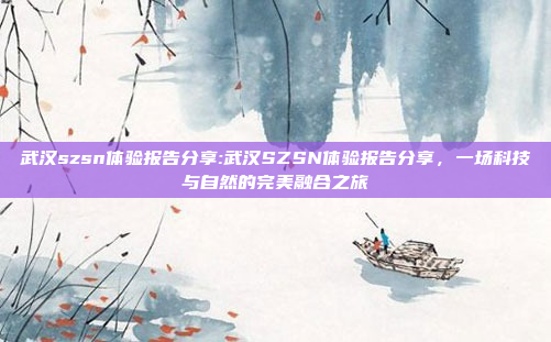 武汉szsn体验报告分享:武汉SZSN体验报告分享，一场科技与自然的完美融合之旅