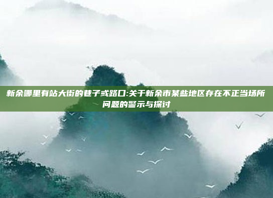 新余哪里有站大街的巷子或路口:关于新余市某些地区存在不正当场所问题的警示与探讨