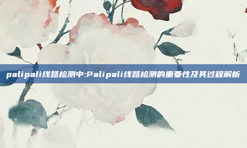 palipali线路检测中:Palipali线路检测的重要性及其过程解析