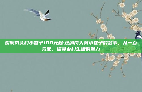 观澜岗头村小巷子100元起:观澜岗头村小巷子的故事，从一百元起，探寻乡村生活的魅力