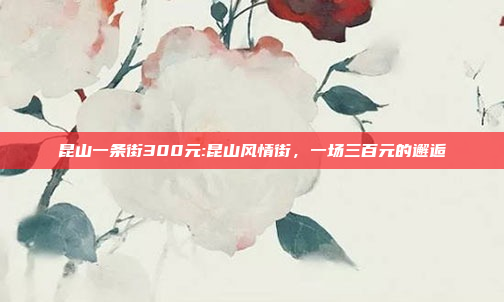 昆山一条街300元:昆山风情街，一场三百元的邂逅