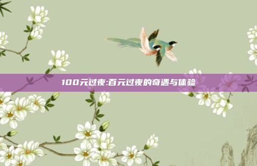 100元过夜:百元过夜的奇遇与体验