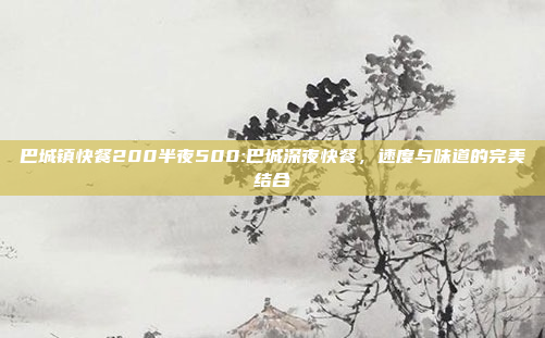 巴城镇快餐200半夜500:巴城深夜快餐，速度与味道的完美结合