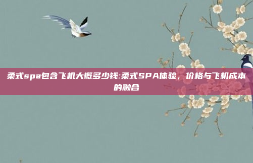 柔式spa包含飞机大概多少钱:柔式SPA体验，价格与飞机成本的融合