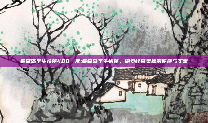 秦皇岛学生快餐400一次:秦皇岛学生快餐，探索校园美食的便捷与实惠