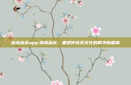 滴滴品茶app:滴滴品茶，重塑传统茶文化的数字新篇章