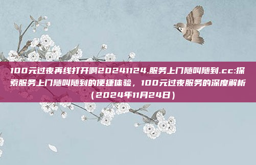 100元过夜再线打开啊20241124.服务上门随叫随到.cc:探索服务上门随叫随到的便捷体验，100元过夜服务的深度解析（2024年11月24日）