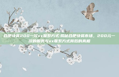 合肥快餐200一次vx联系方式:揭秘合肥快餐市场，200元一次的服务与vx联系方式背后的真相