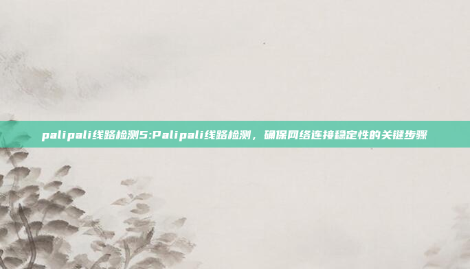 palipali线路检测5:Palipali线路检测，确保网络连接稳定性的关键步骤